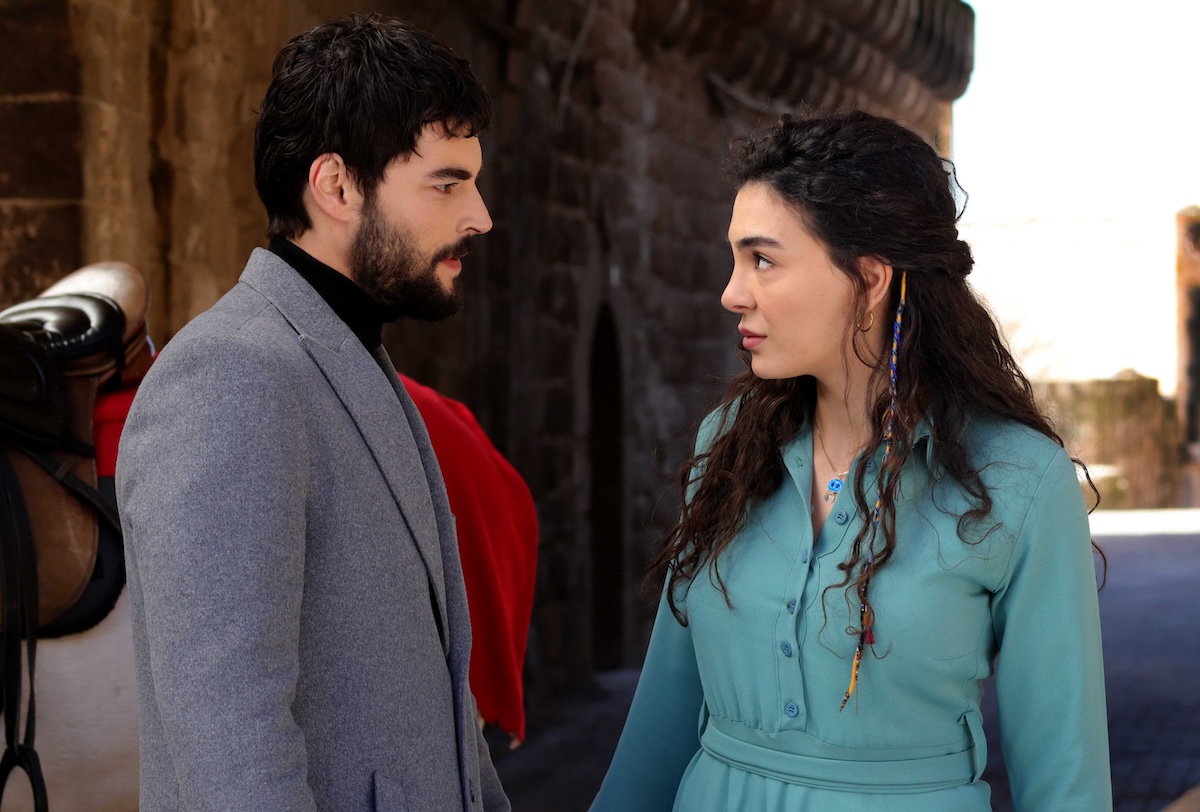 Hercai - Amore E Vendetta: Trama, Cast, Quante Puntate, Repliche E ...