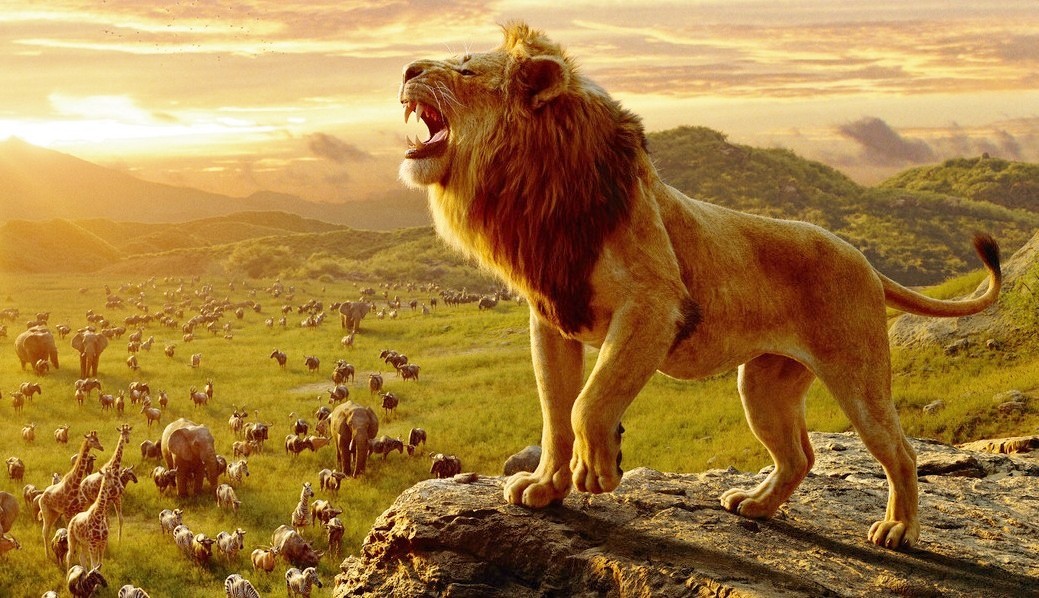 Il re leone, recensione, l'equivoco del cambio di forma- Cineblog