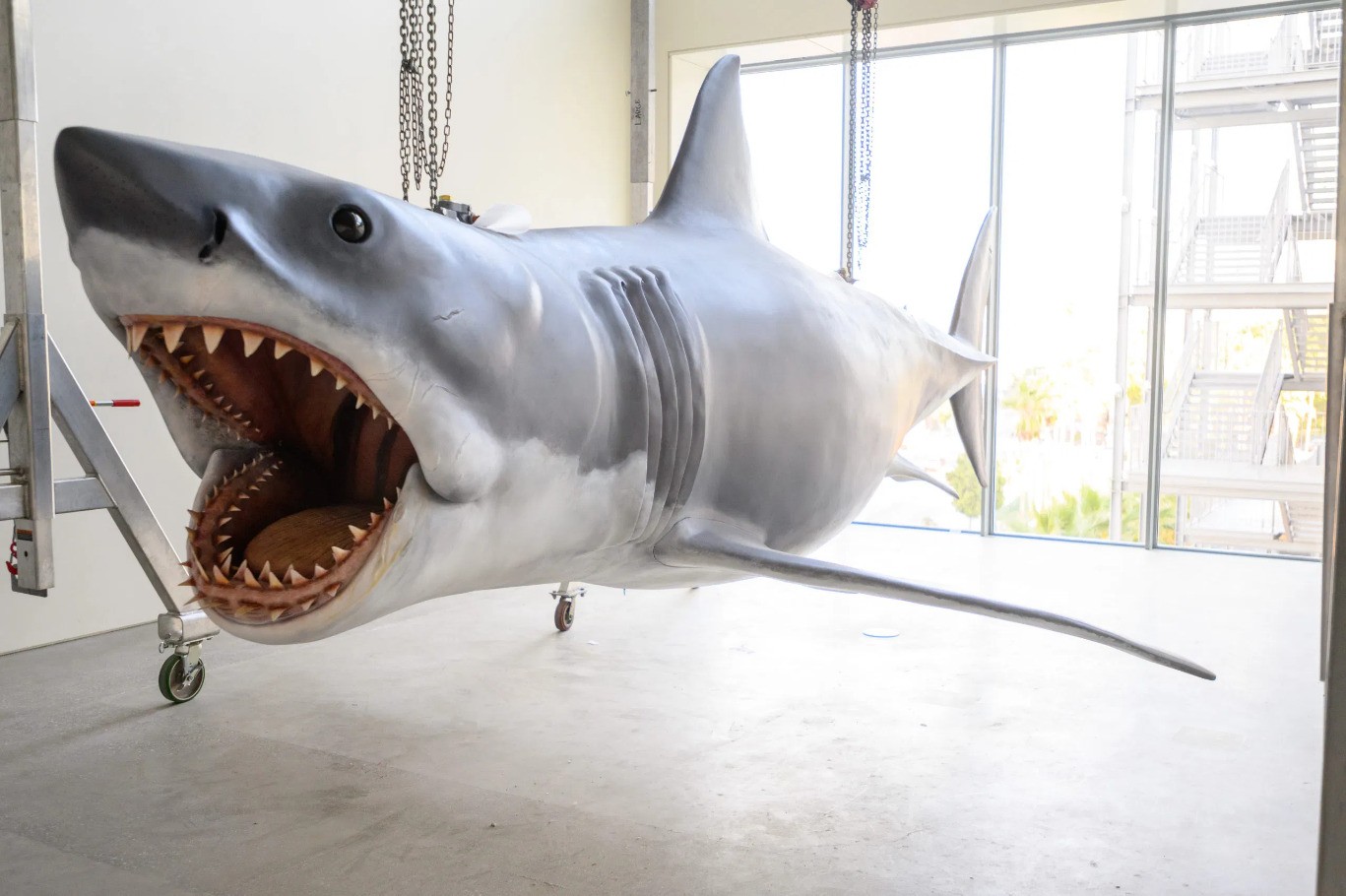 Lo squalo di Spielberg: modello superstite in mostra all'Academy Museum